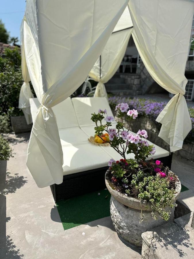 Apartment Nika 1